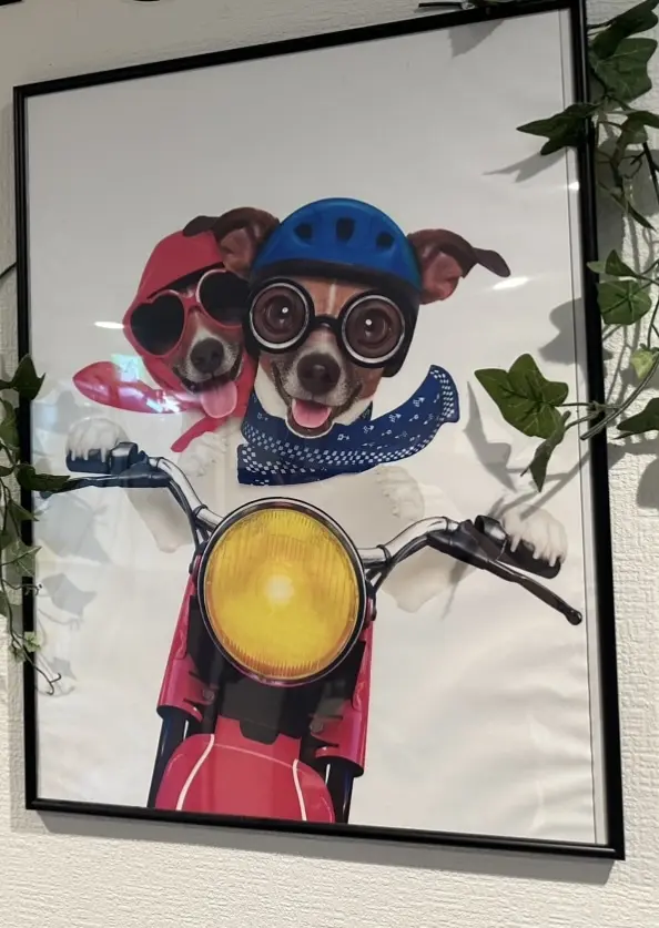 11月7日は、息子チッドくんの誕生日！の画像_5