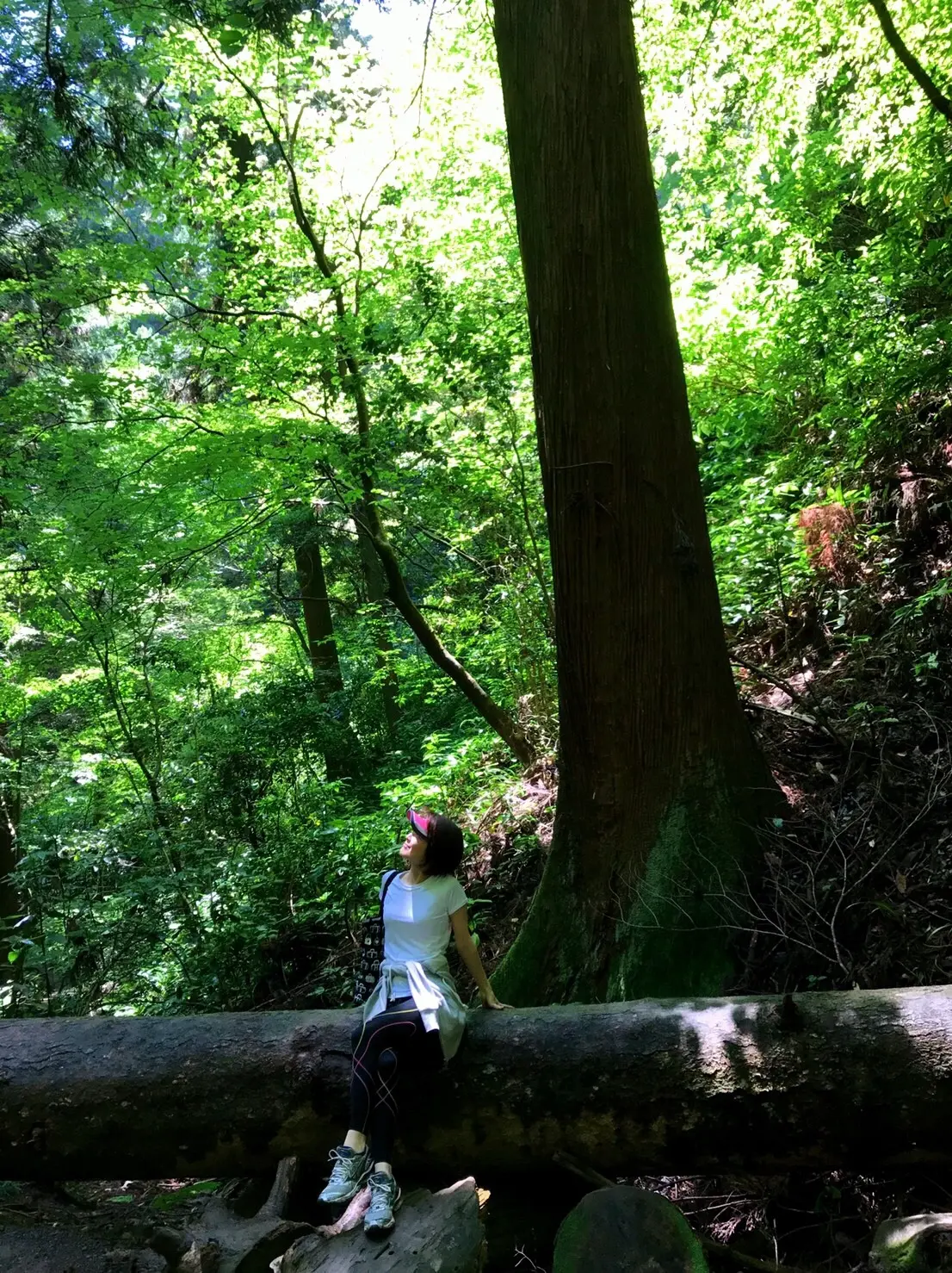 新たな趣味の画像_1