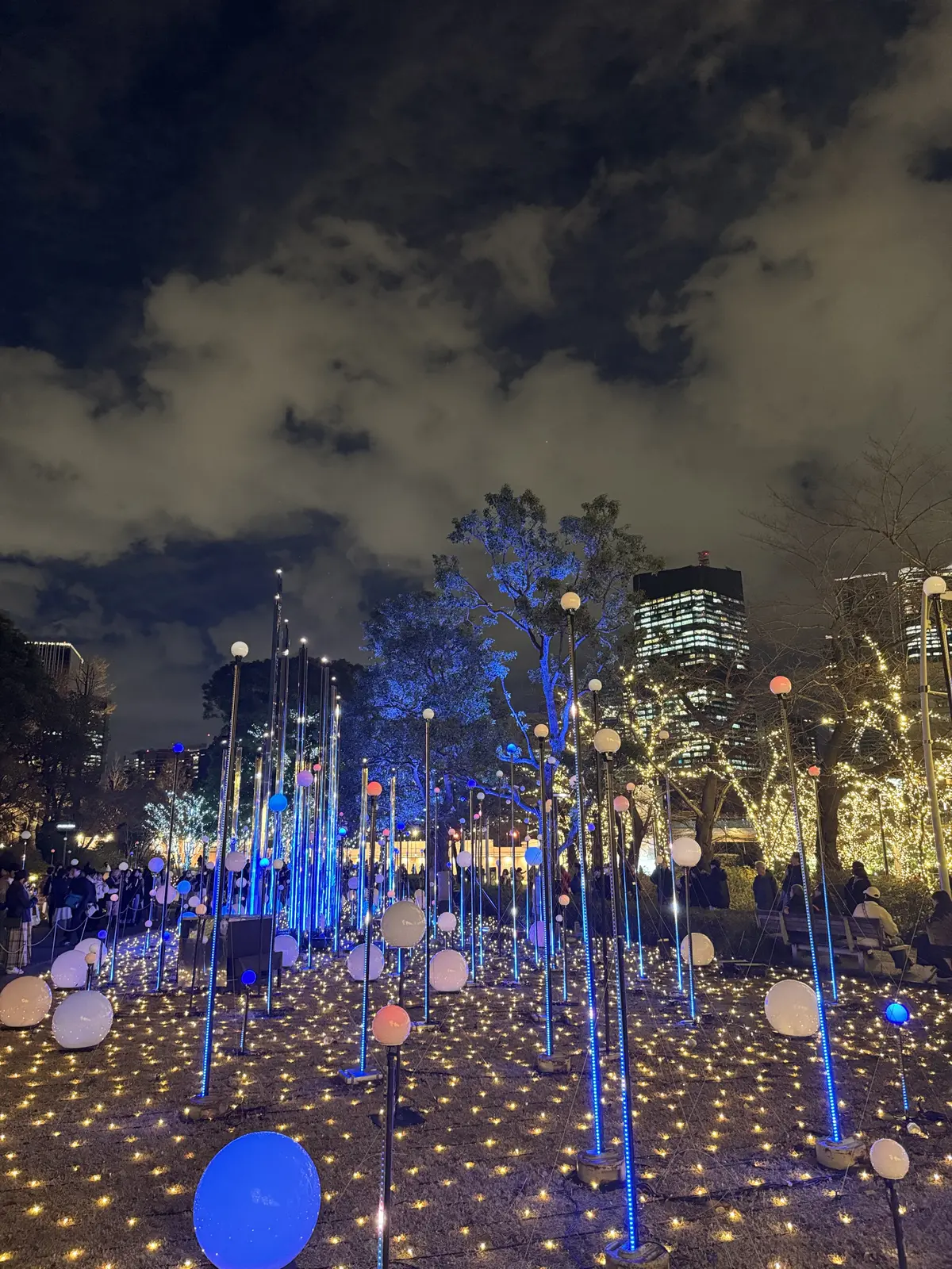 この冬見たい、心に残る東京イルミネーショの画像_5