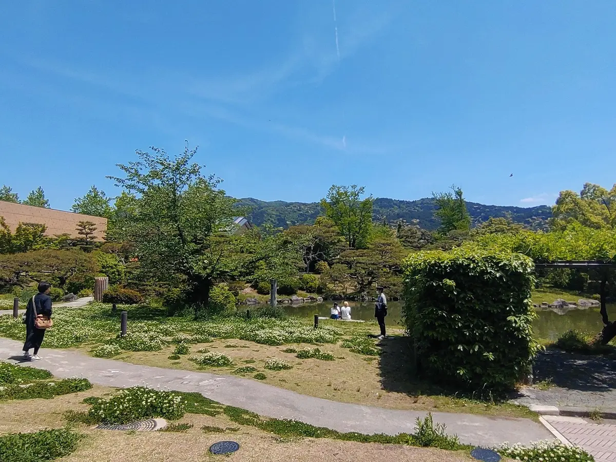 ゴールデンウィークでも静かな京都「マリーの画像_6