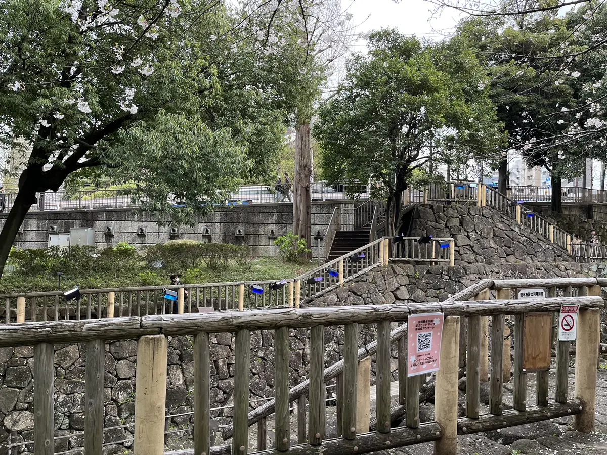 【王子・飛鳥山公園】夕方から夜桜鑑賞の画像_3