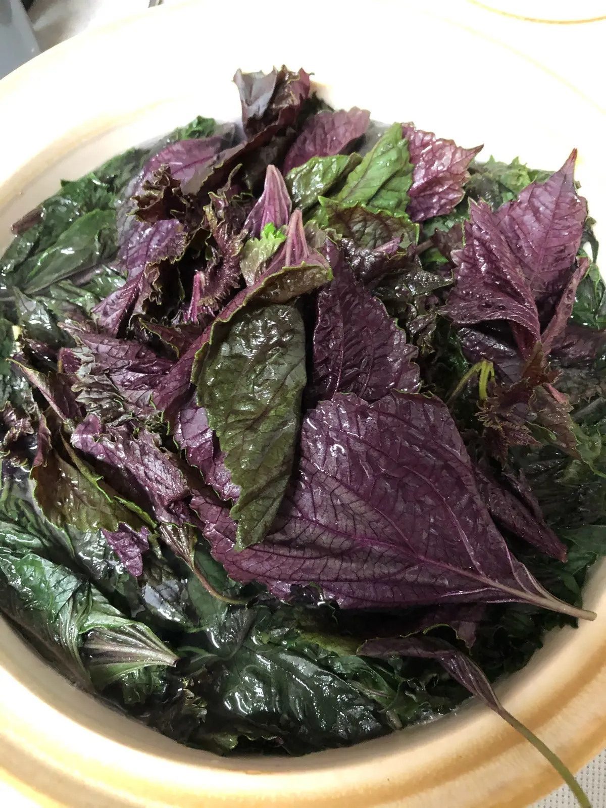 我が家の夏の風物詩の画像_2