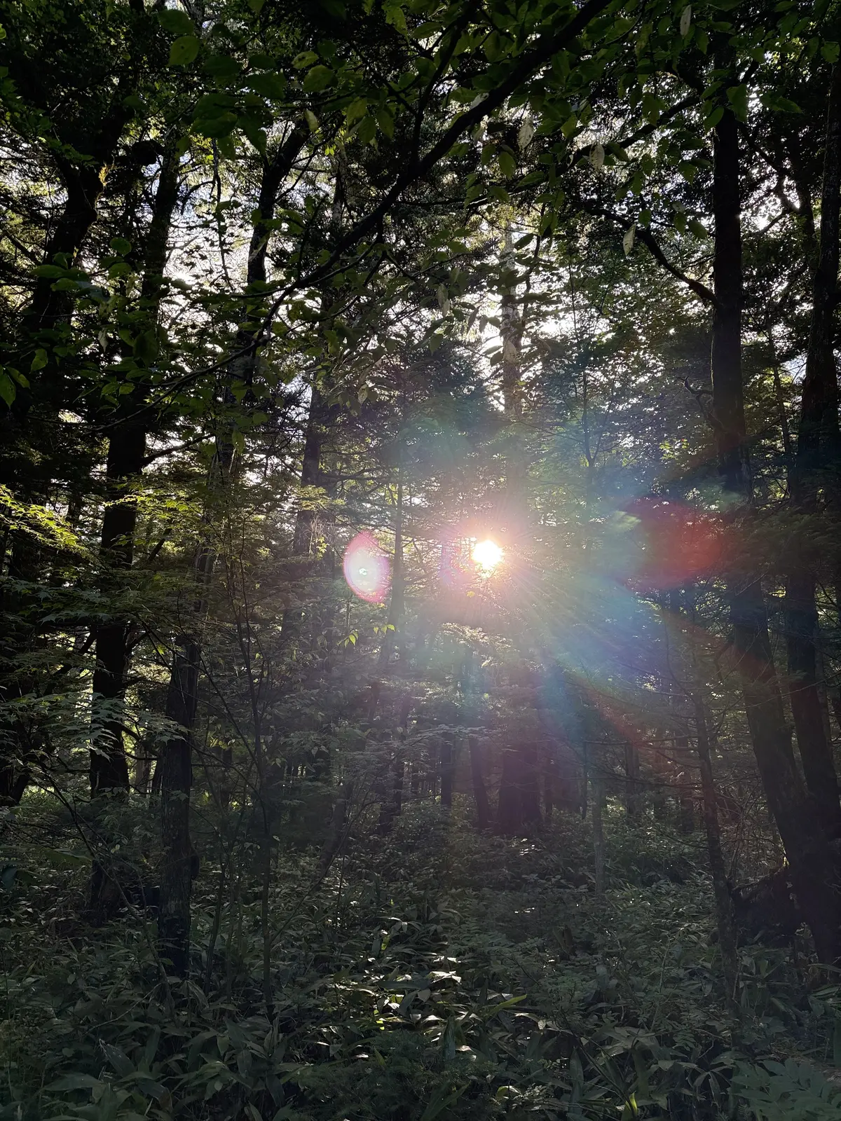 上高地で18kmのトレッキング！！絵葉書の画像_9