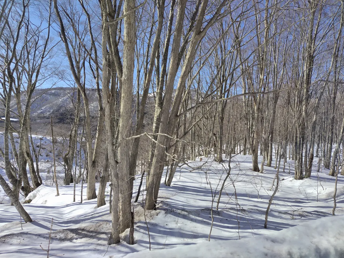 一度は行ってみたい温泉　　乳頭温泉郷へのの画像_14