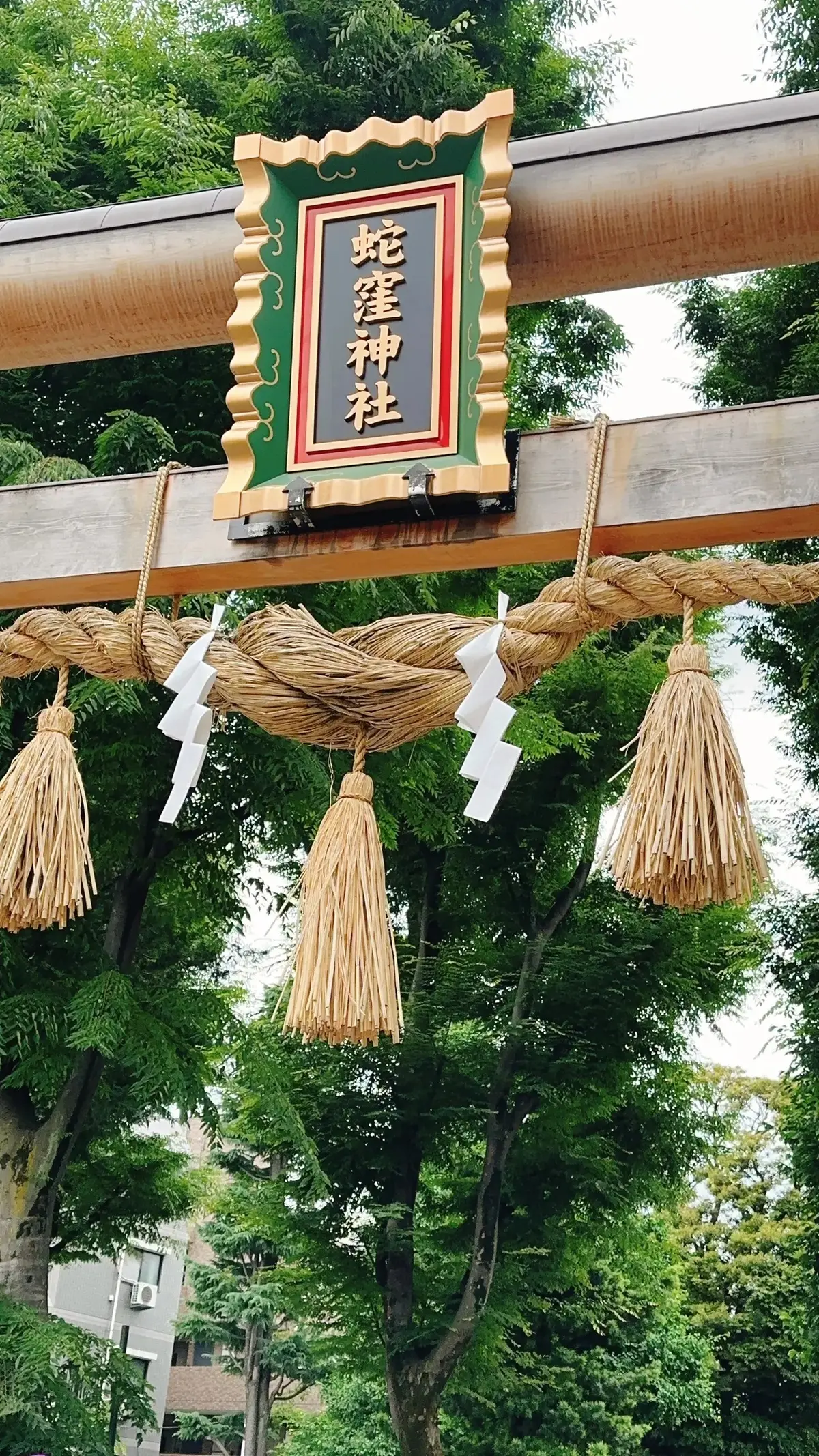 巳の日に神社巡りをしてきました⛩️