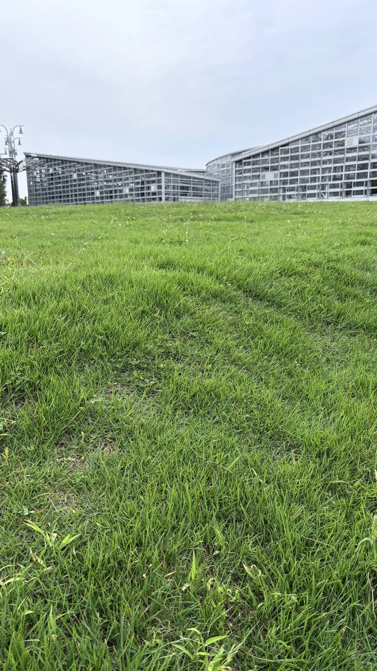 植物園　神代植物公園　亜熱帯植物　芝生　グリーン