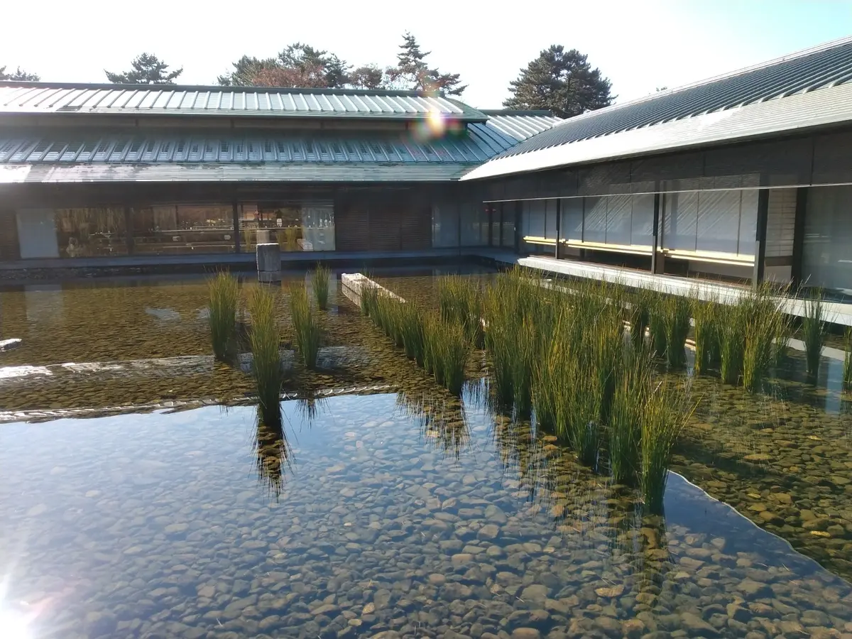 水田をイメージしています