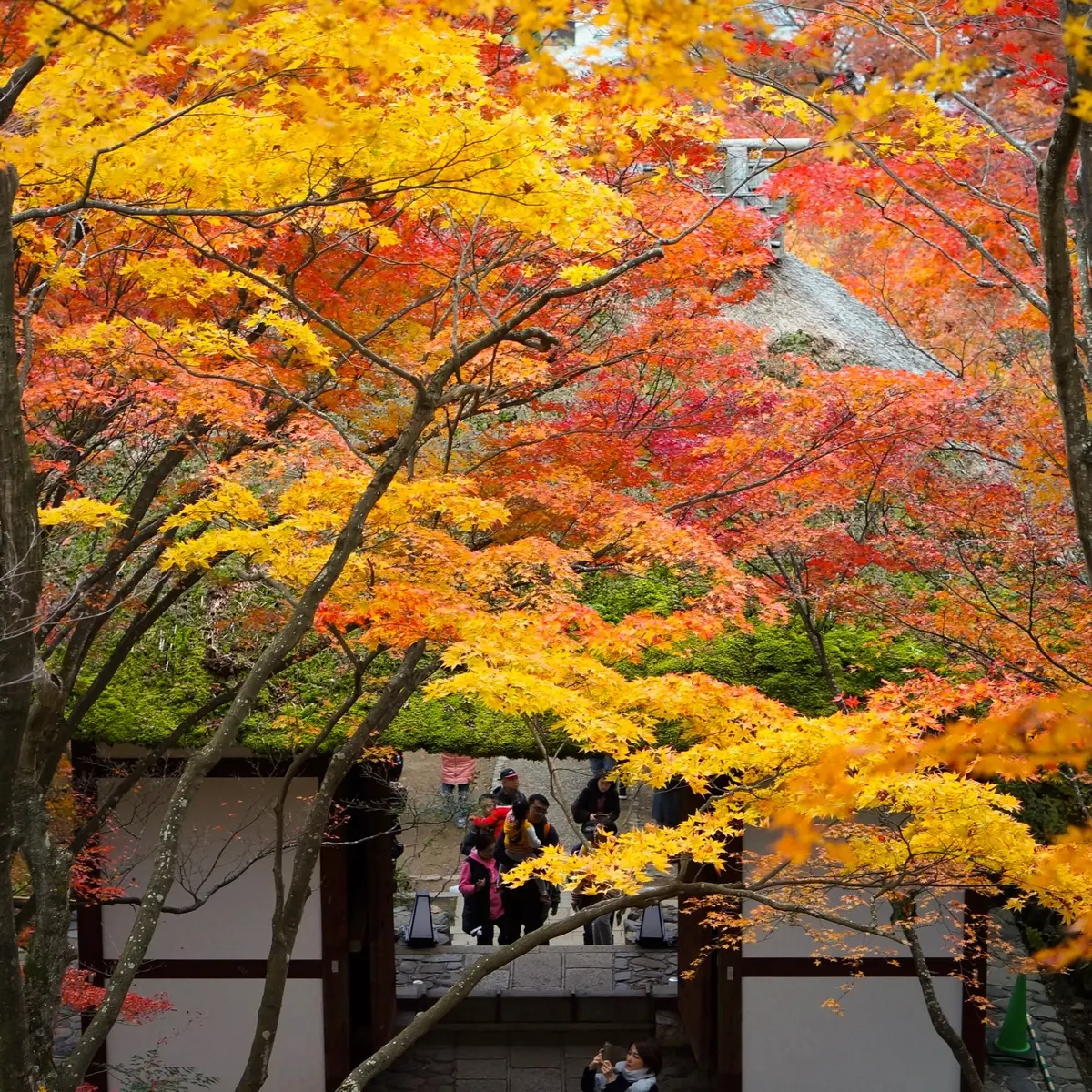 瀬戸内を巡る旅の画像_4