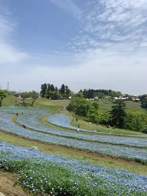 愛犬との旅行の画像_12