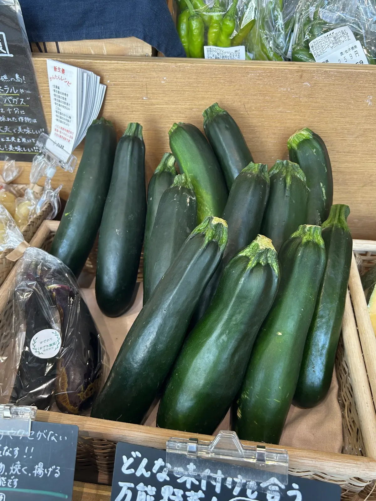 湘南 T-SITE  蔦屋書店　FOOD&COMPANY