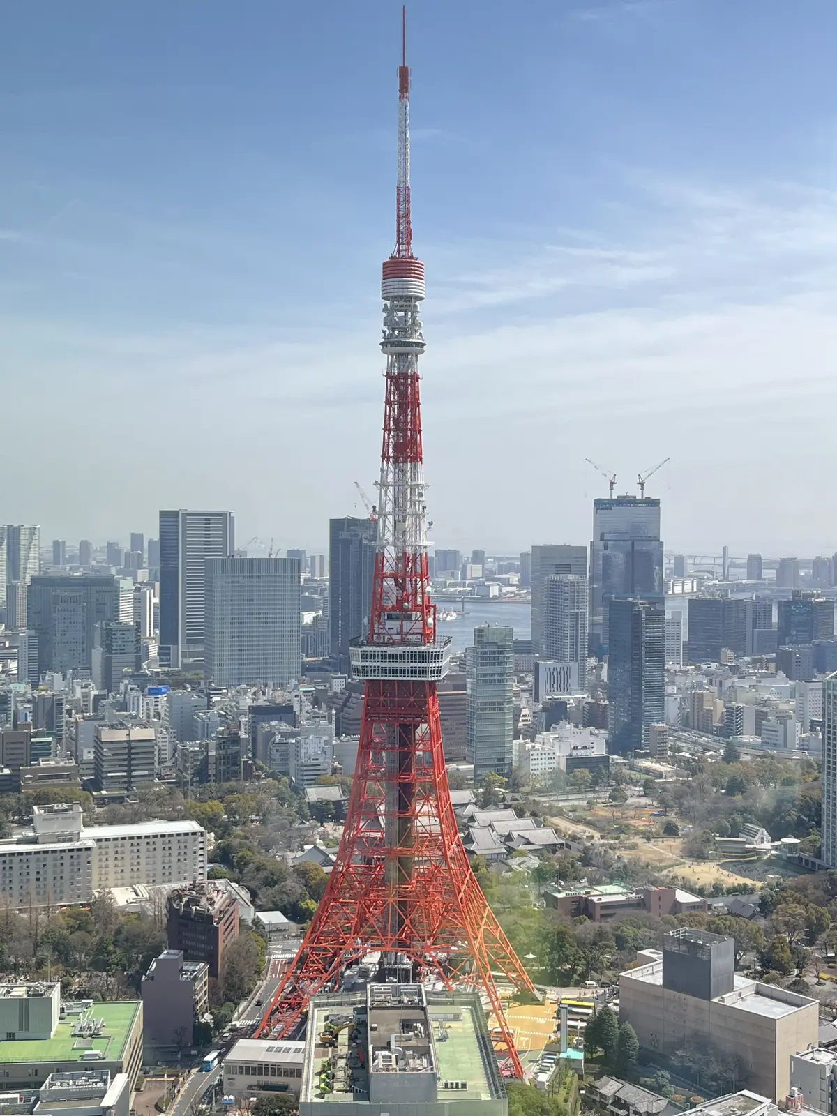 初めての麻布台ヒルズへの画像_3