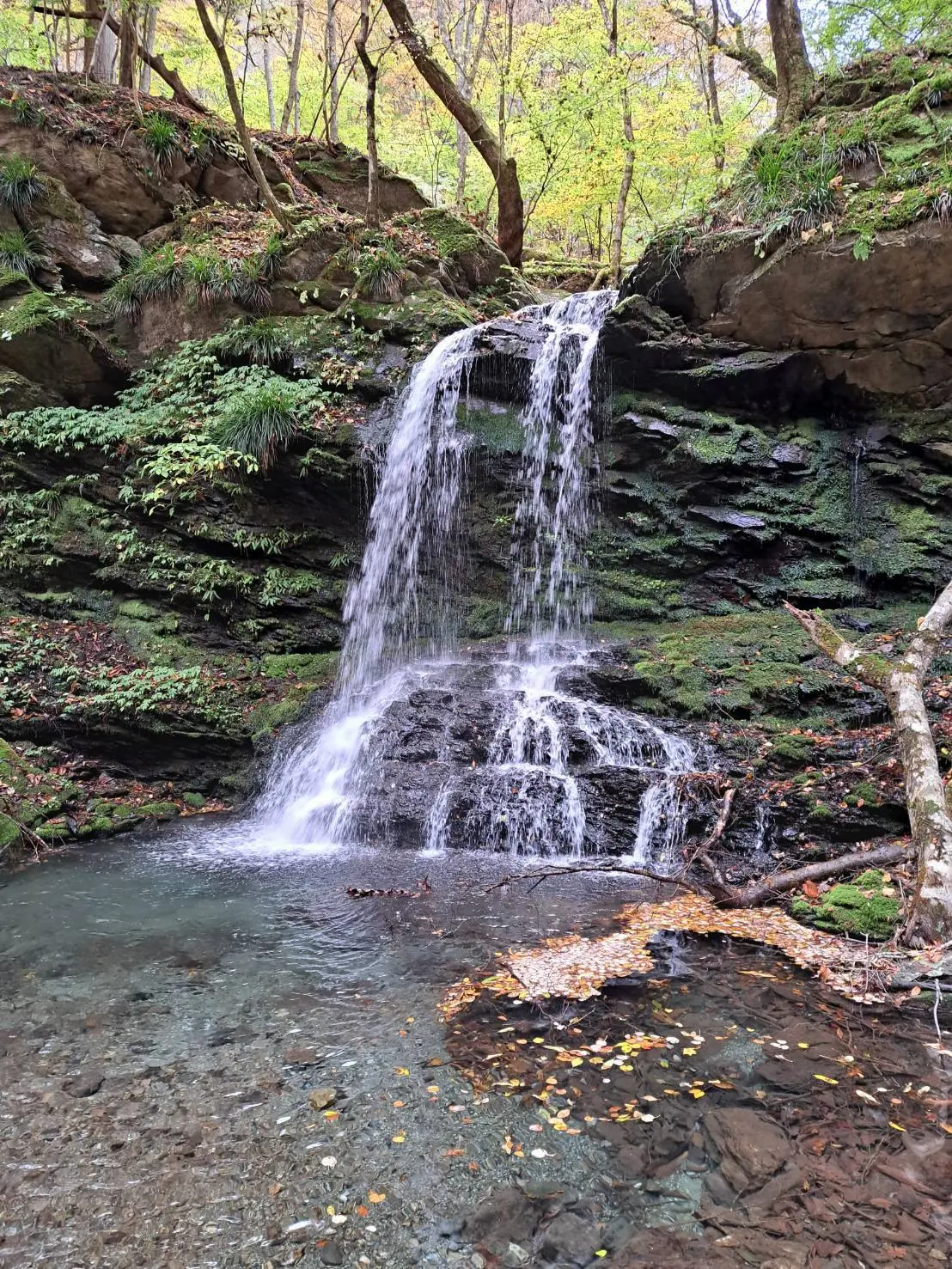 関東最強のパワースポットへ！の画像_4
