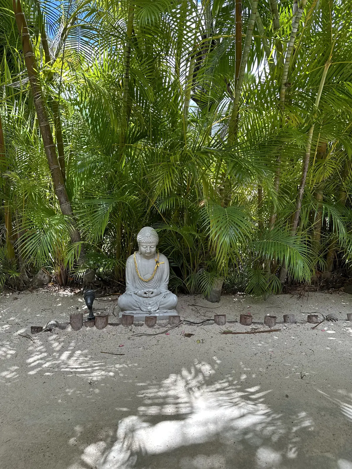 Hawaii day 4の画像_6