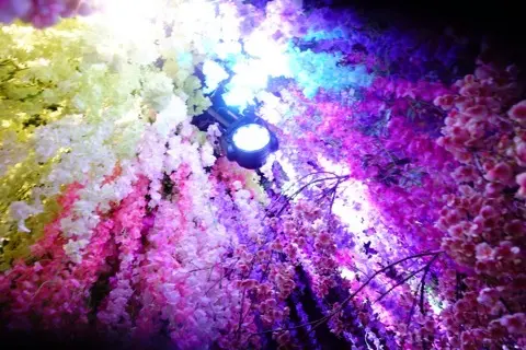 芸術鑑賞Dayで癒されるの画像_1