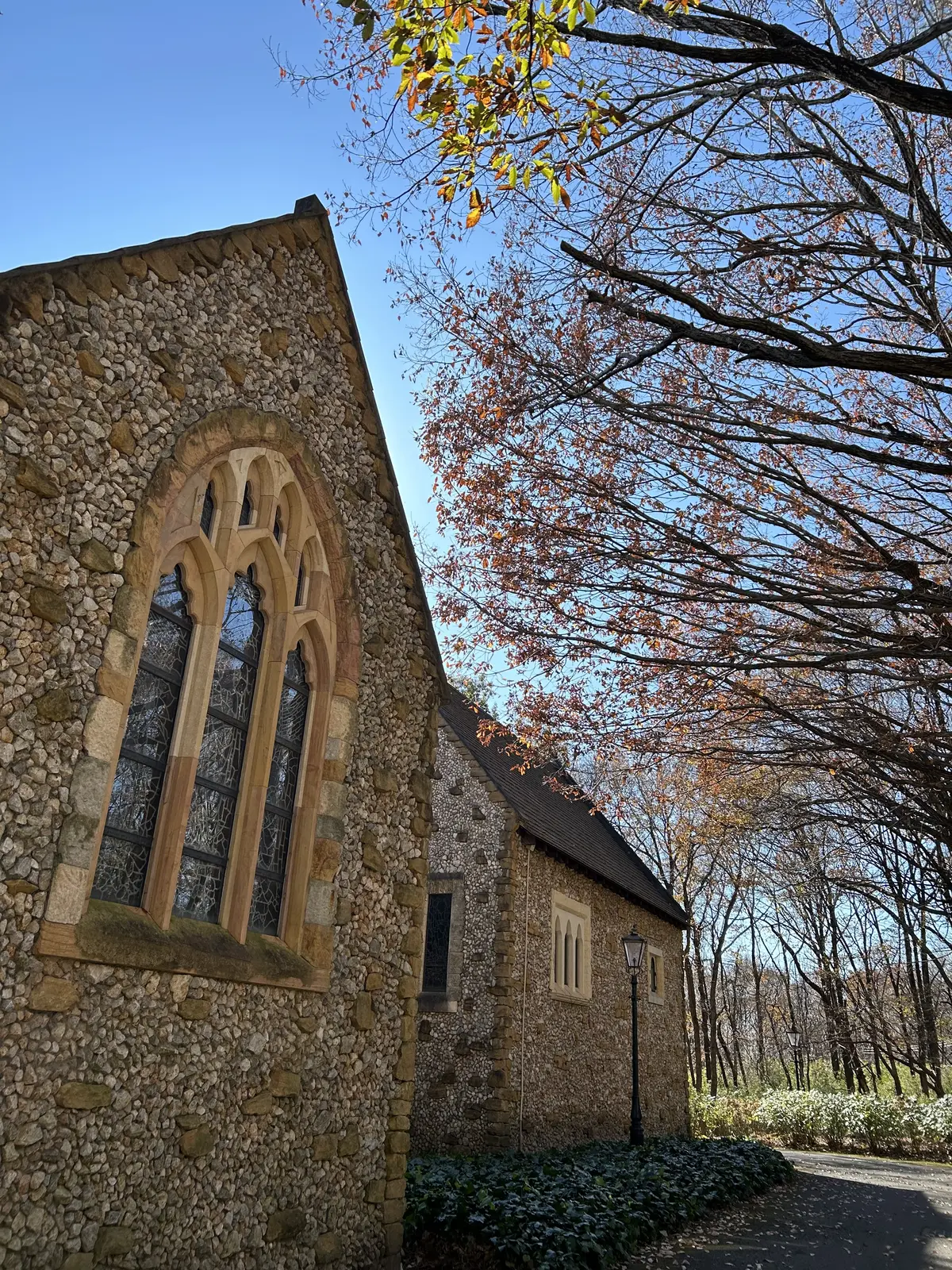 那須高原を東奔西走とおまけに仙台への画像_24