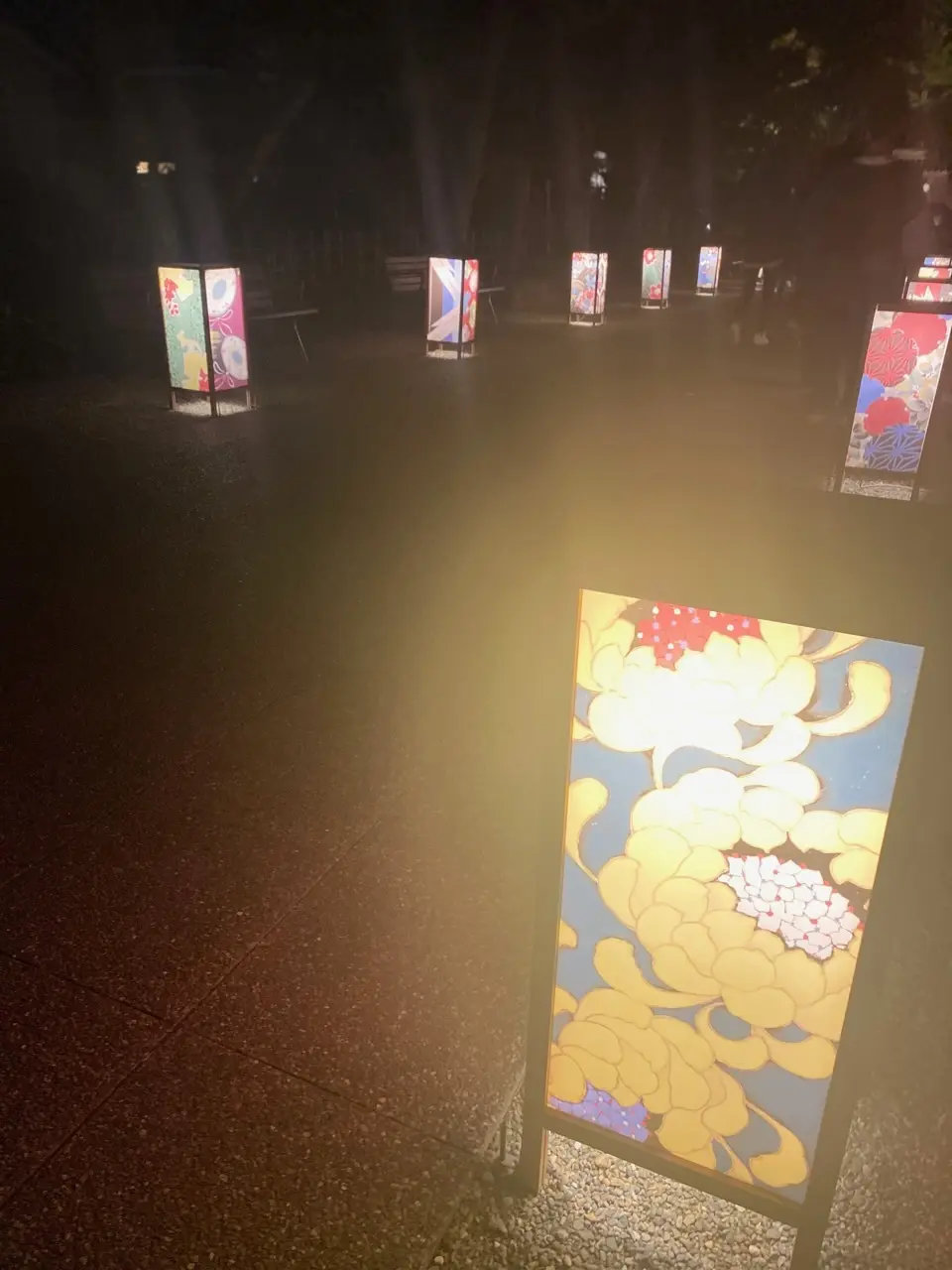 幻想的な光の祭典の画像_1