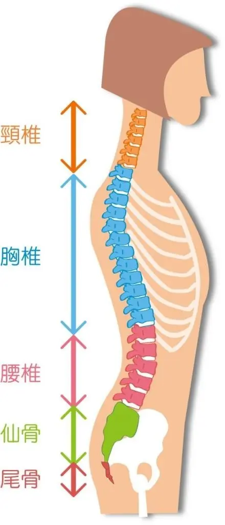 OurAge×Webエクラ　腰痛は、発症すると60％以上の人が慢性化してしまう！