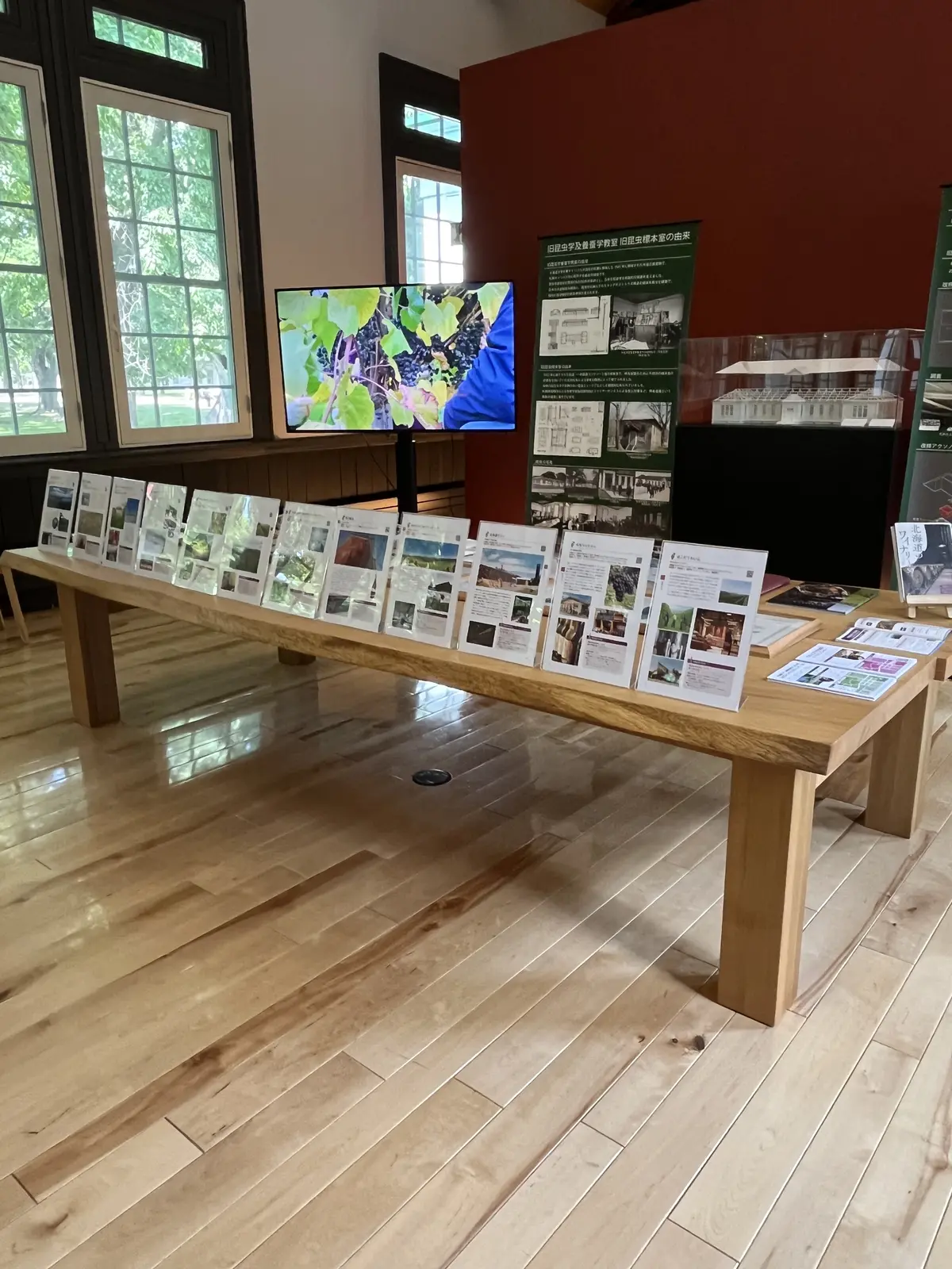 北海道大学でワイン研究！研究施設で道産ワの画像_9