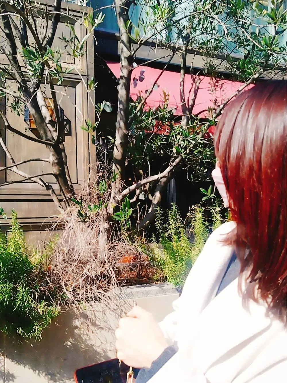 6th by ORIENTAL HOTELランチ、丸の内、日比谷、有楽町