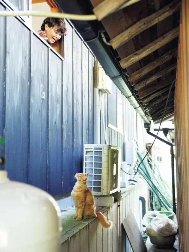 福森さんとこゆき