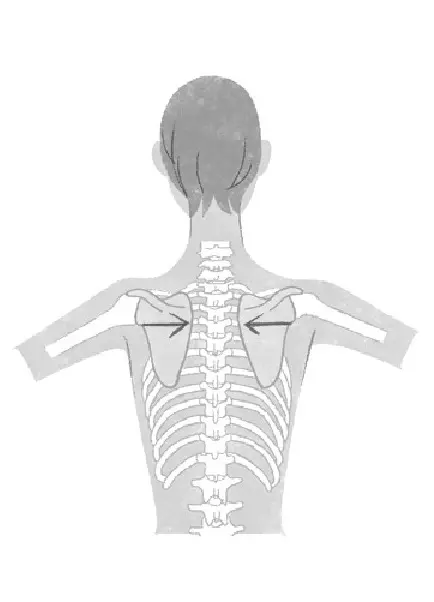 美しい姿勢をキープする背中の鍛え方　老けの画像_5