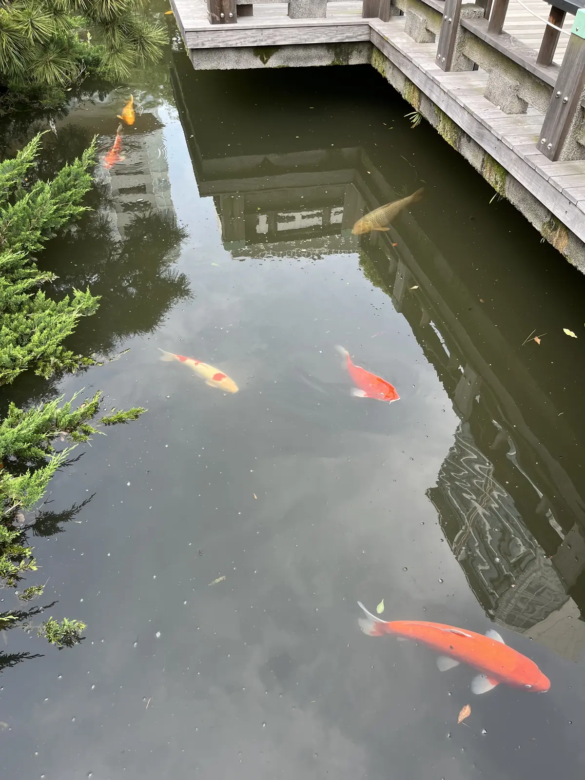 平日の原宿へ②の画像_18