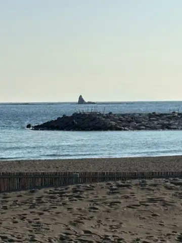 入手困難(？)BON BONS DE Kの画像_10