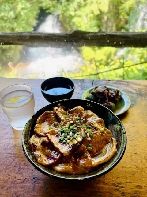 竜頭の滝 豚丼