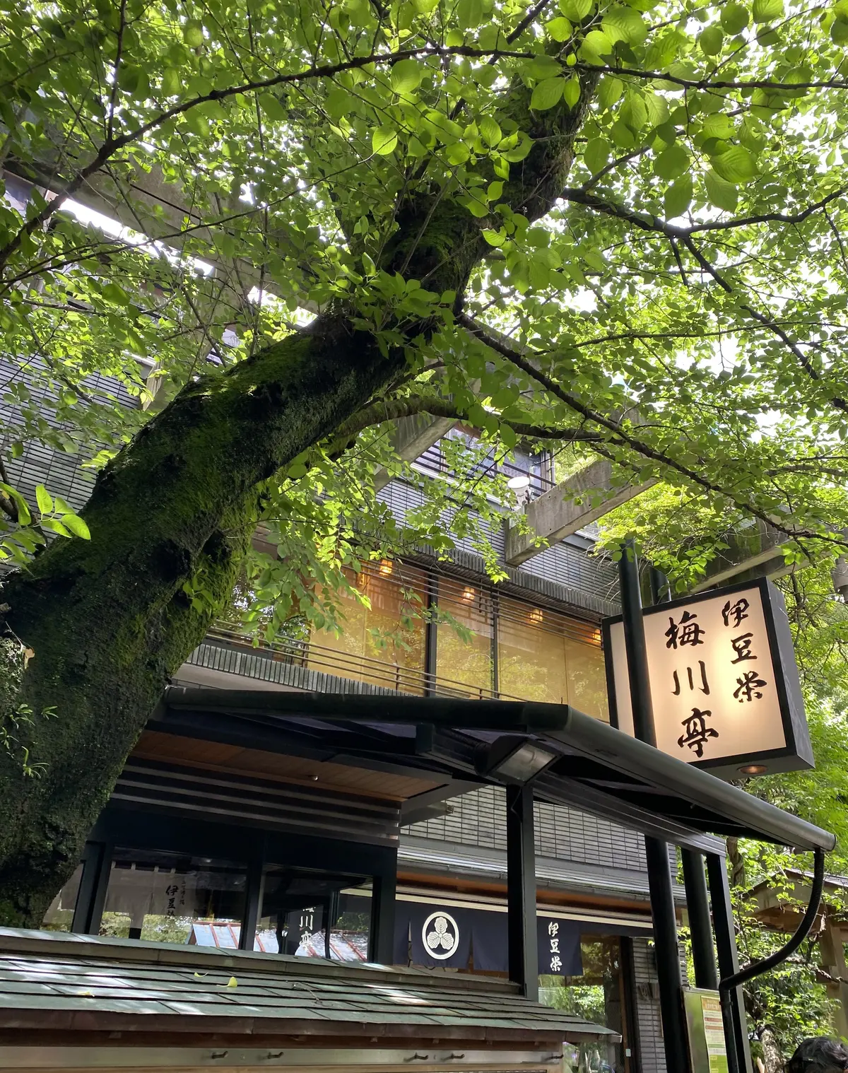 緑に囲まれた伊豆栄 梅川亭の外観と看板