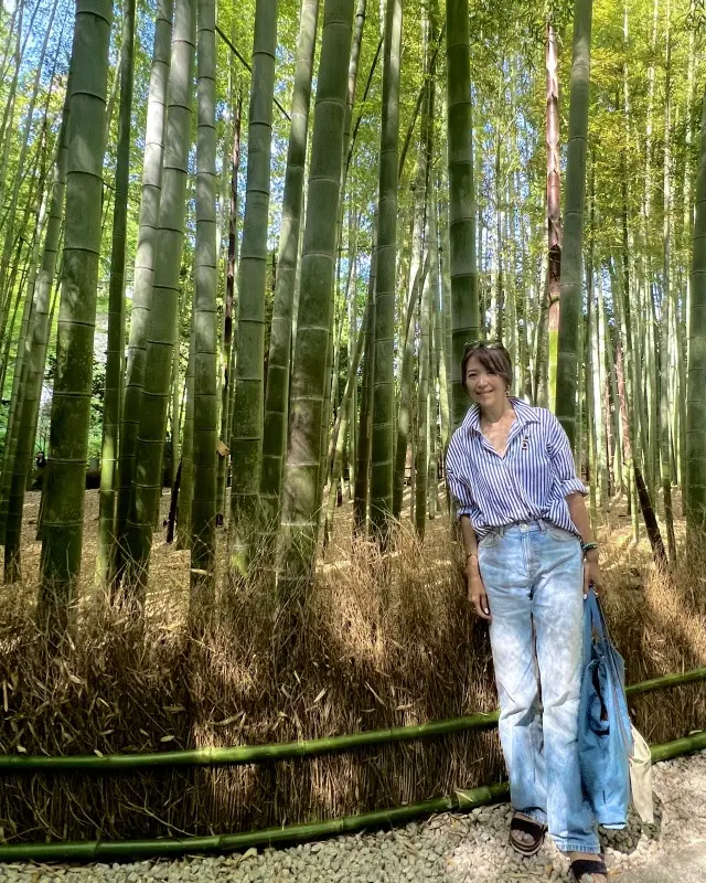 鎌倉ショートトリップ＠報国寺への画像_1