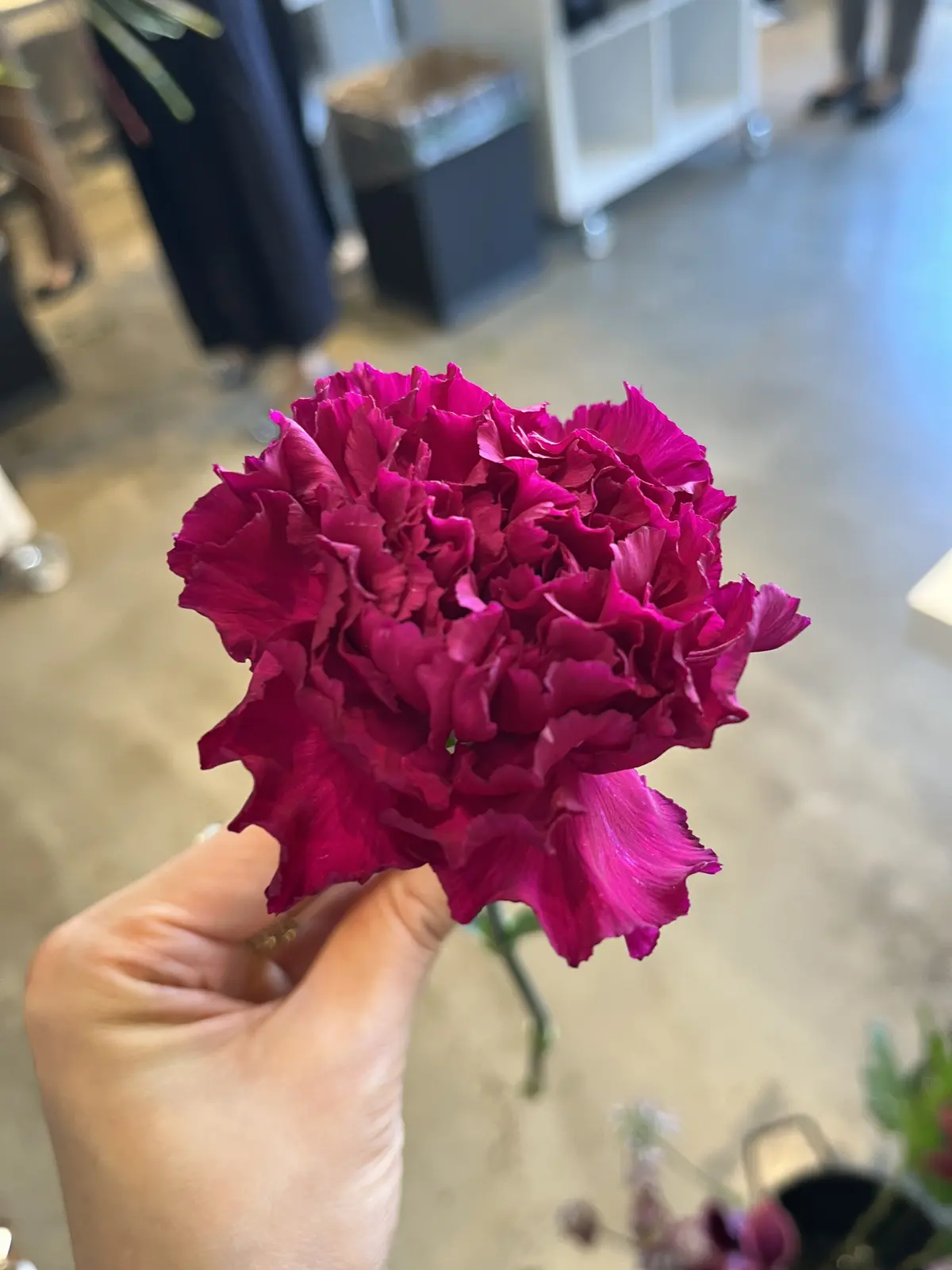 初のニコライ先生のレッスンへの画像_6