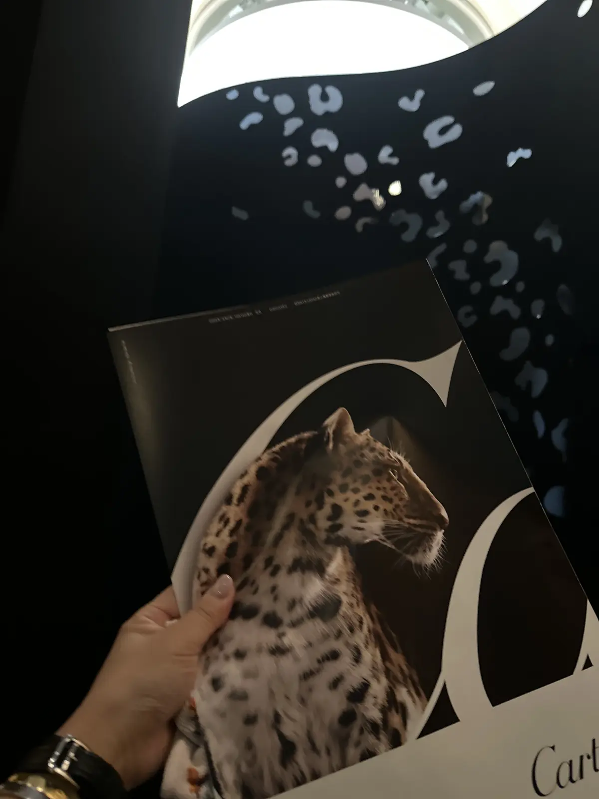 Cartier"INTO TO THE の画像_1