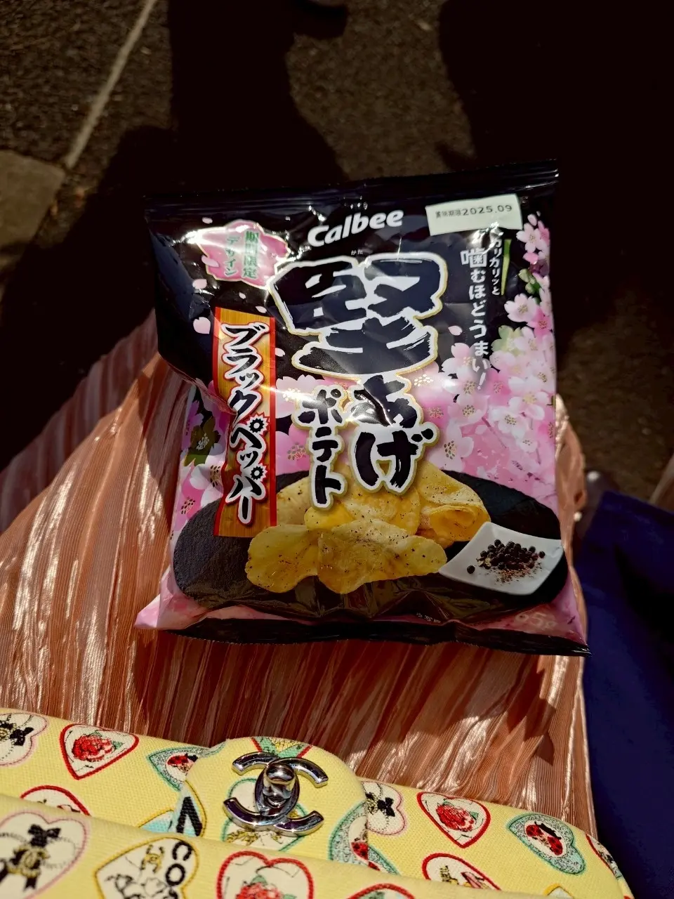 千代田のさくらまつり