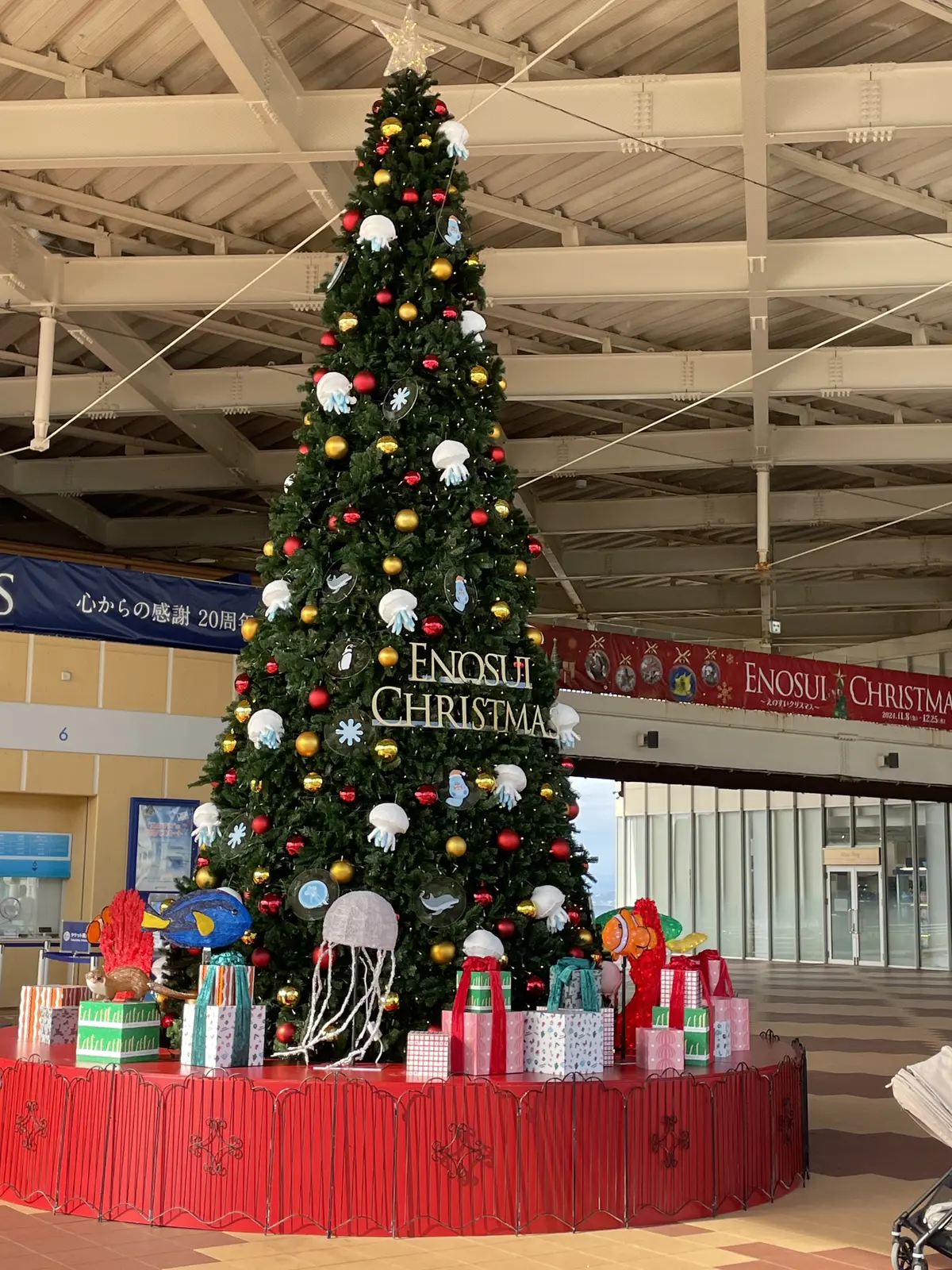 やっとやっと！スポーツの秋♪の画像_4