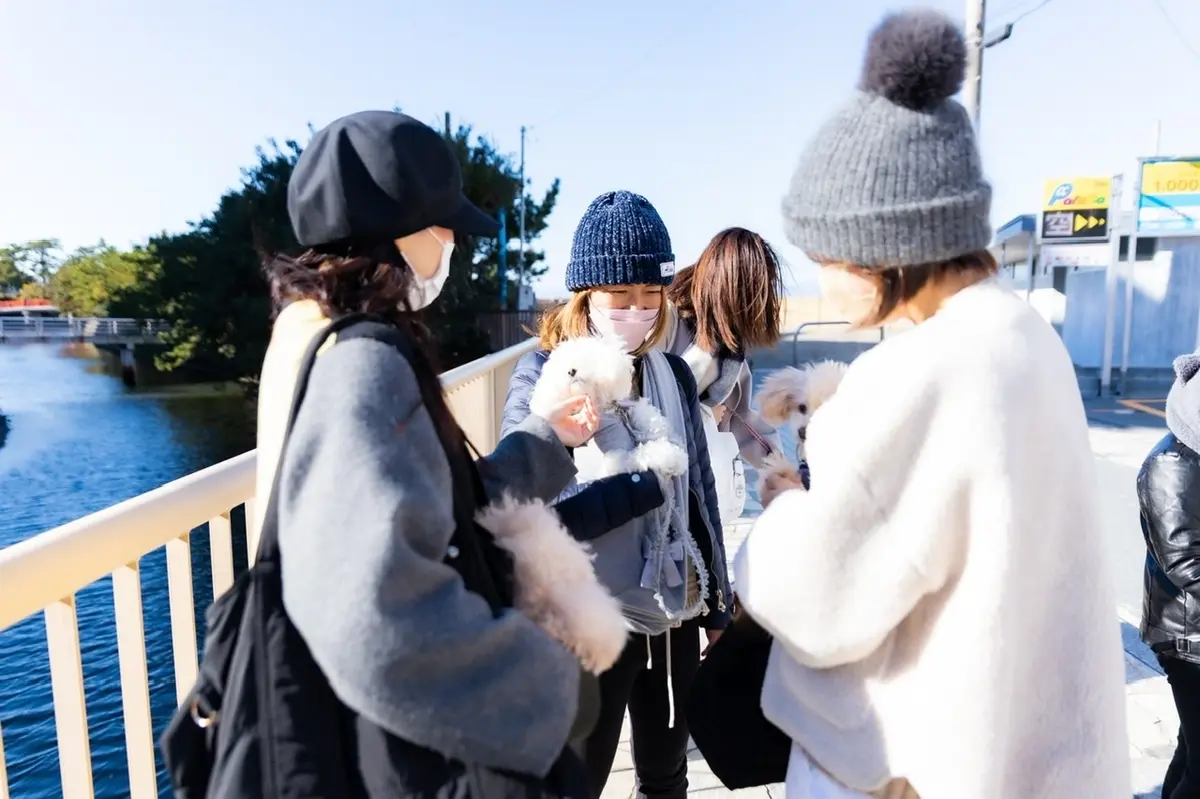 愛犬ミルクと今年最後のビーチクリーン活動の画像_2