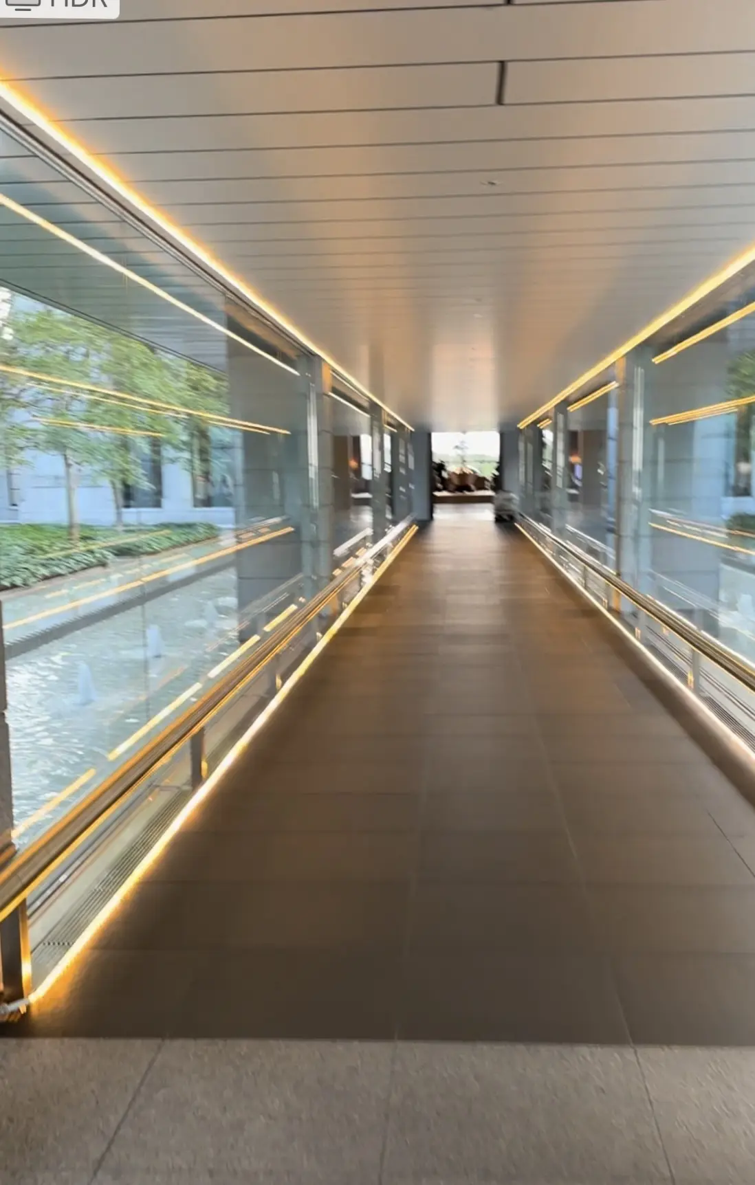 写真ぼやけてます