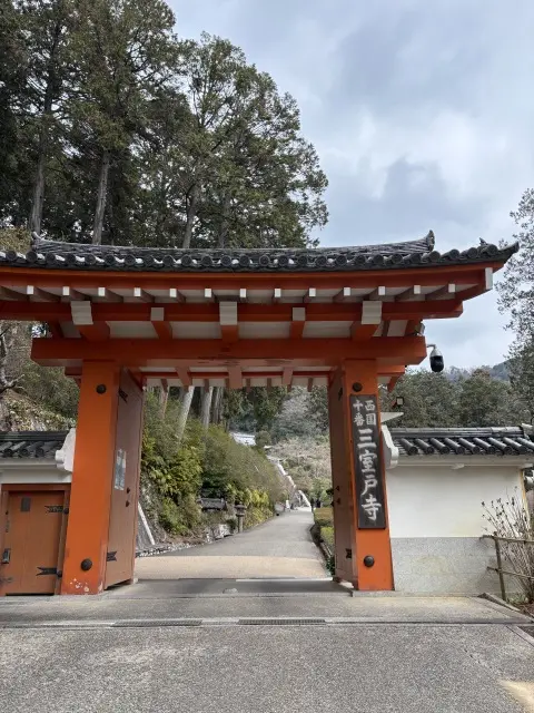 春の名残と記憶のなかの風景 ― 三室戸寺の画像_1