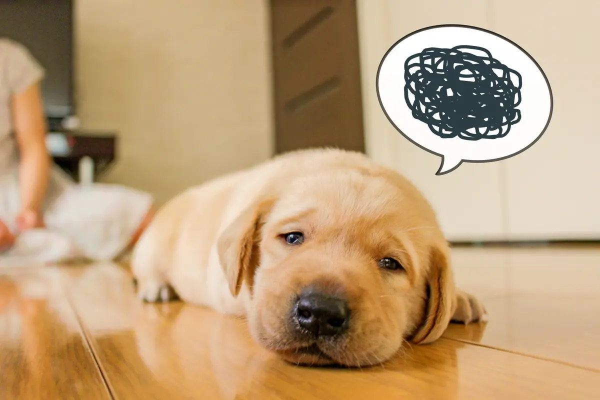 アラフィー女性のホンネ：穴があったら、入の画像_3