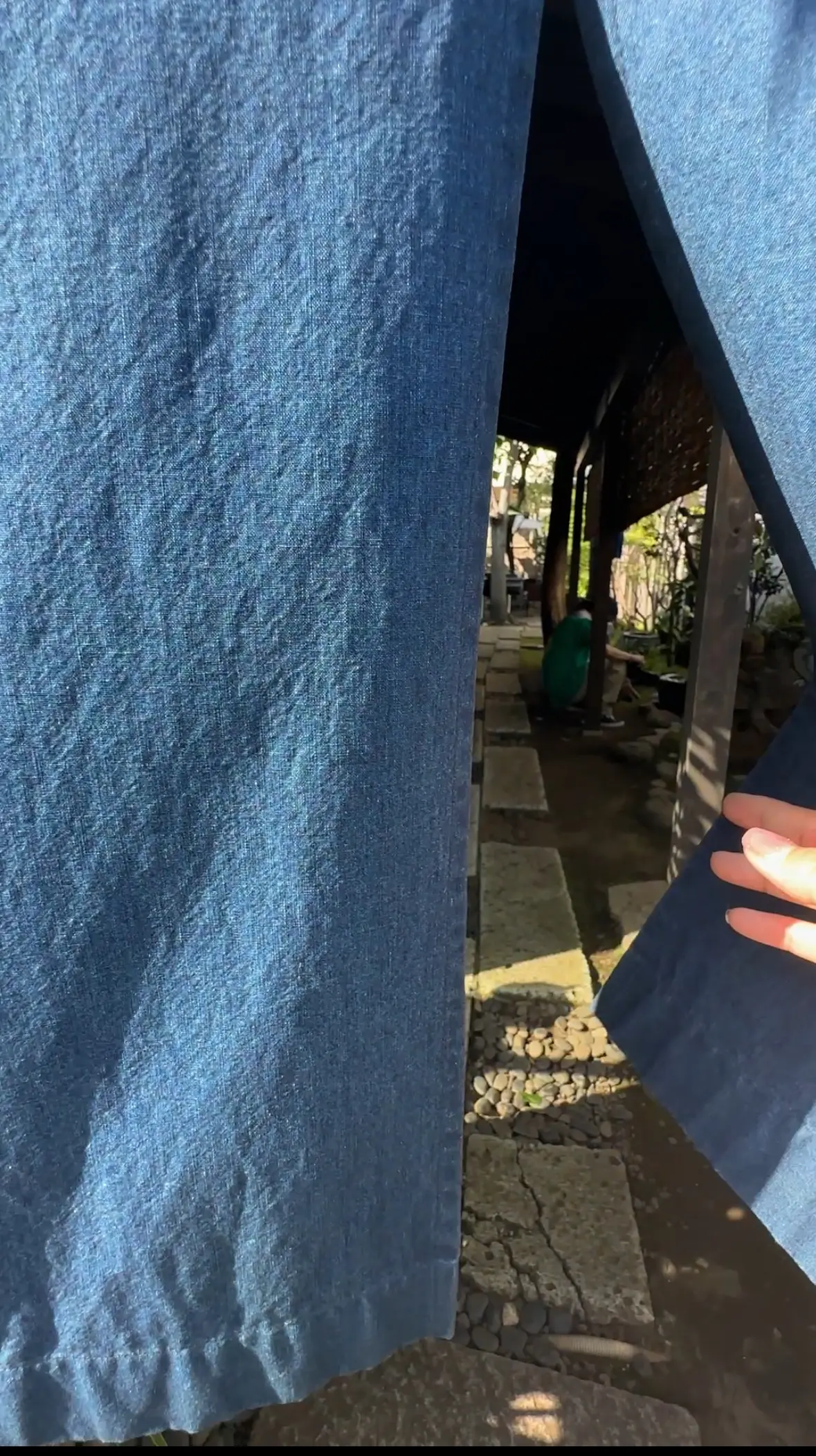 代官山で見つけた癒しカフェ、おひとり様もの画像_2