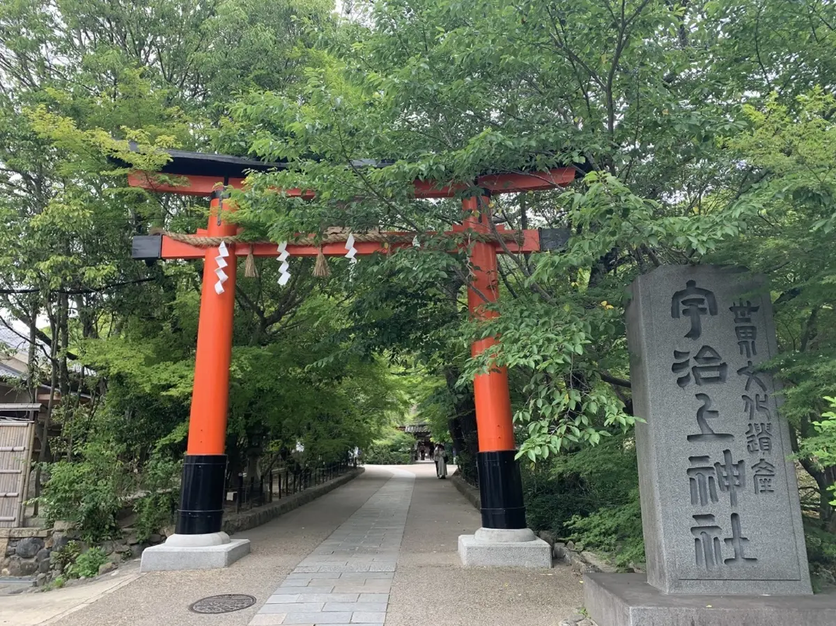 艶やかな紫陽花に癒されて。の画像_2