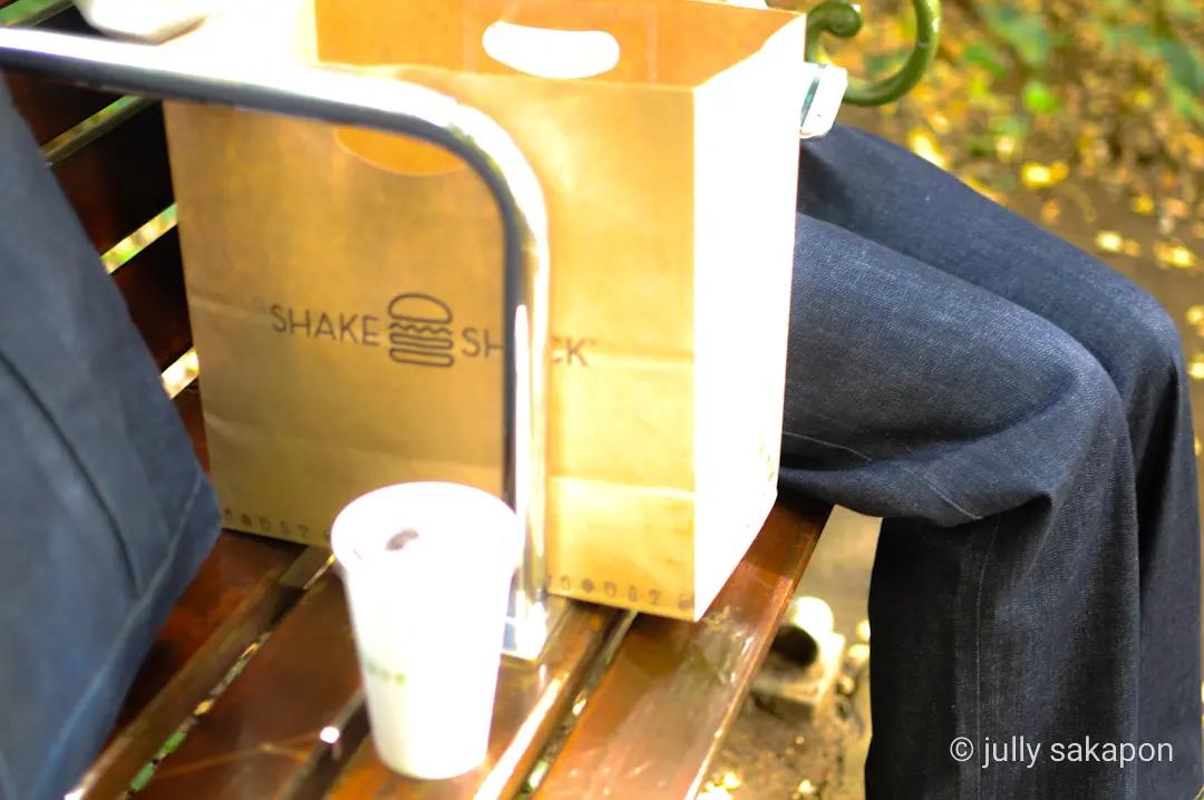 【さかぽんの冒険】絶景 いちょう並木@外の画像_5