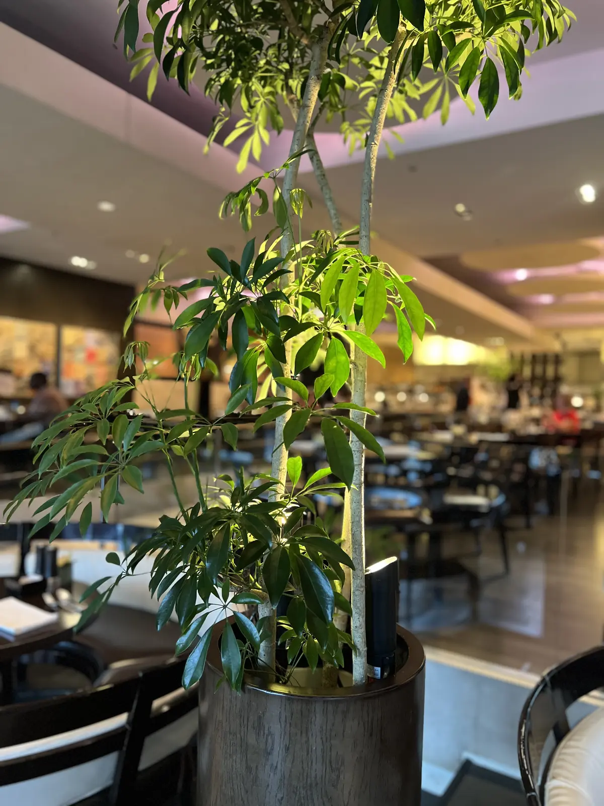 ジャケットの威力。の画像_14