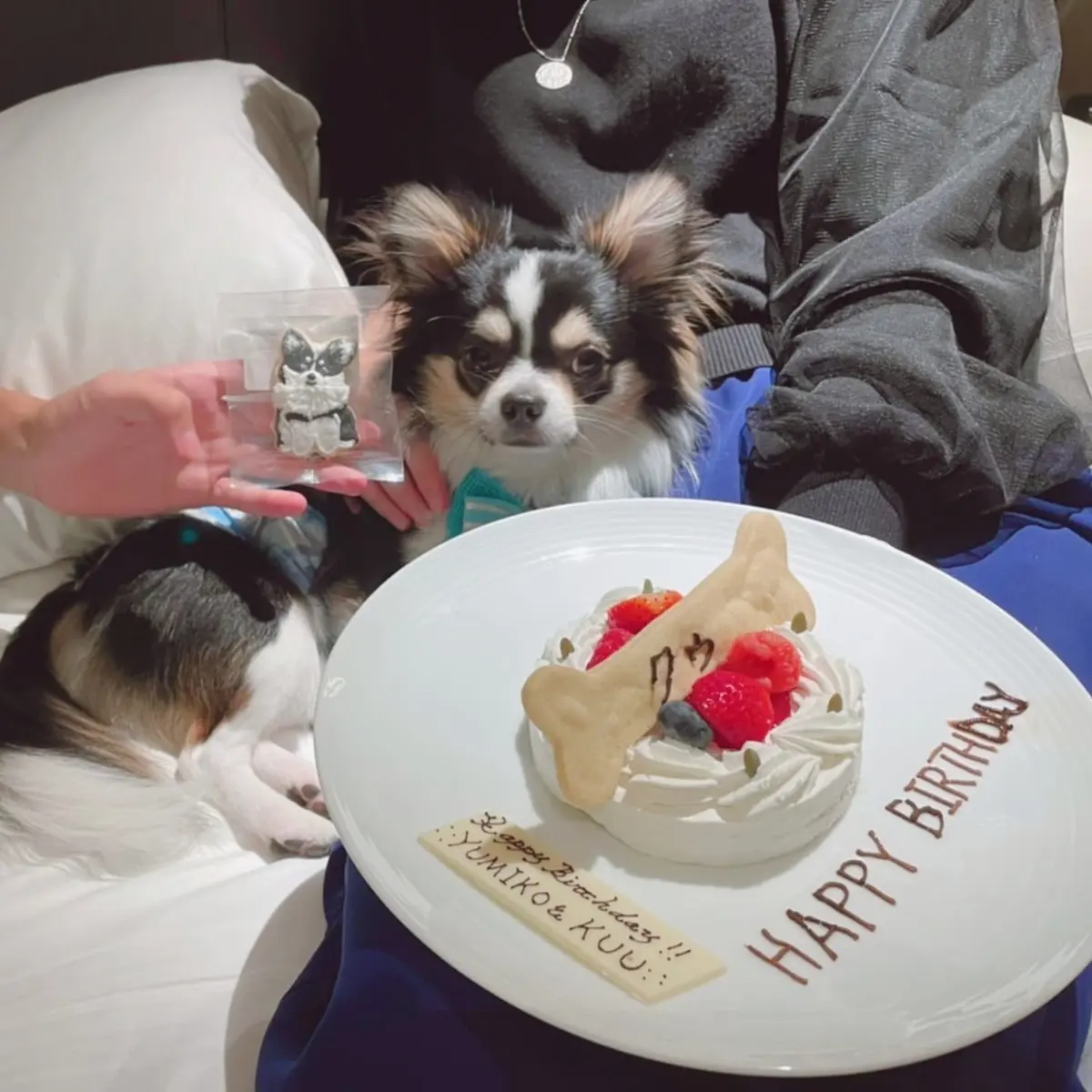 ワンちゃん用バースディケーキとクウににせたクッキー