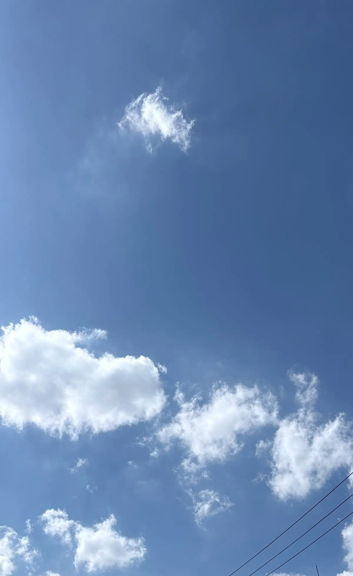 50代ユニクロ白黒プチプラコーデ＊プレスの画像_7