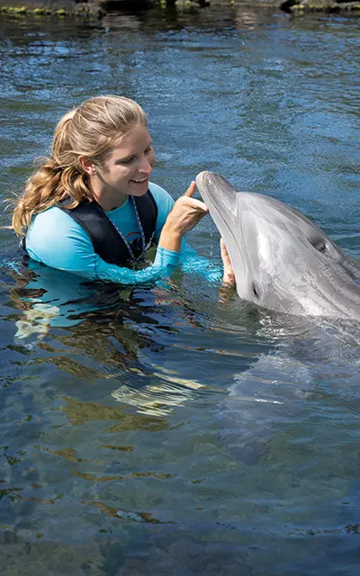 大人のハワイ好きが選ぶ！究極の“ハワイ、の画像_10