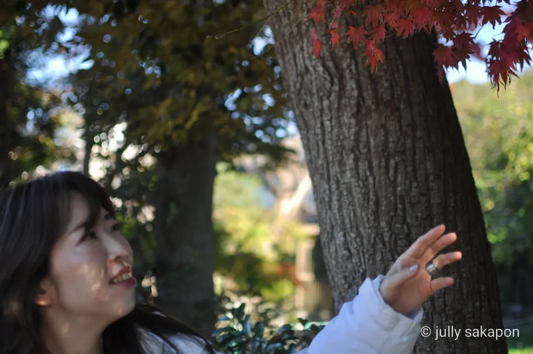 【さかぽんの冒険】フライング紅葉狩り@北の画像_5