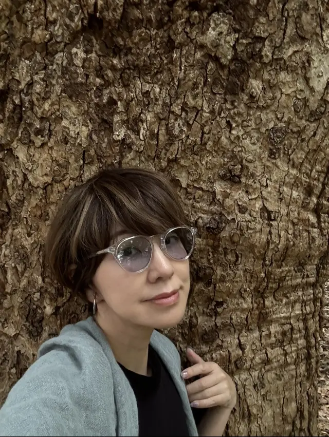 緑に染まる生田の森と赤に染まる生田神社。の画像_1