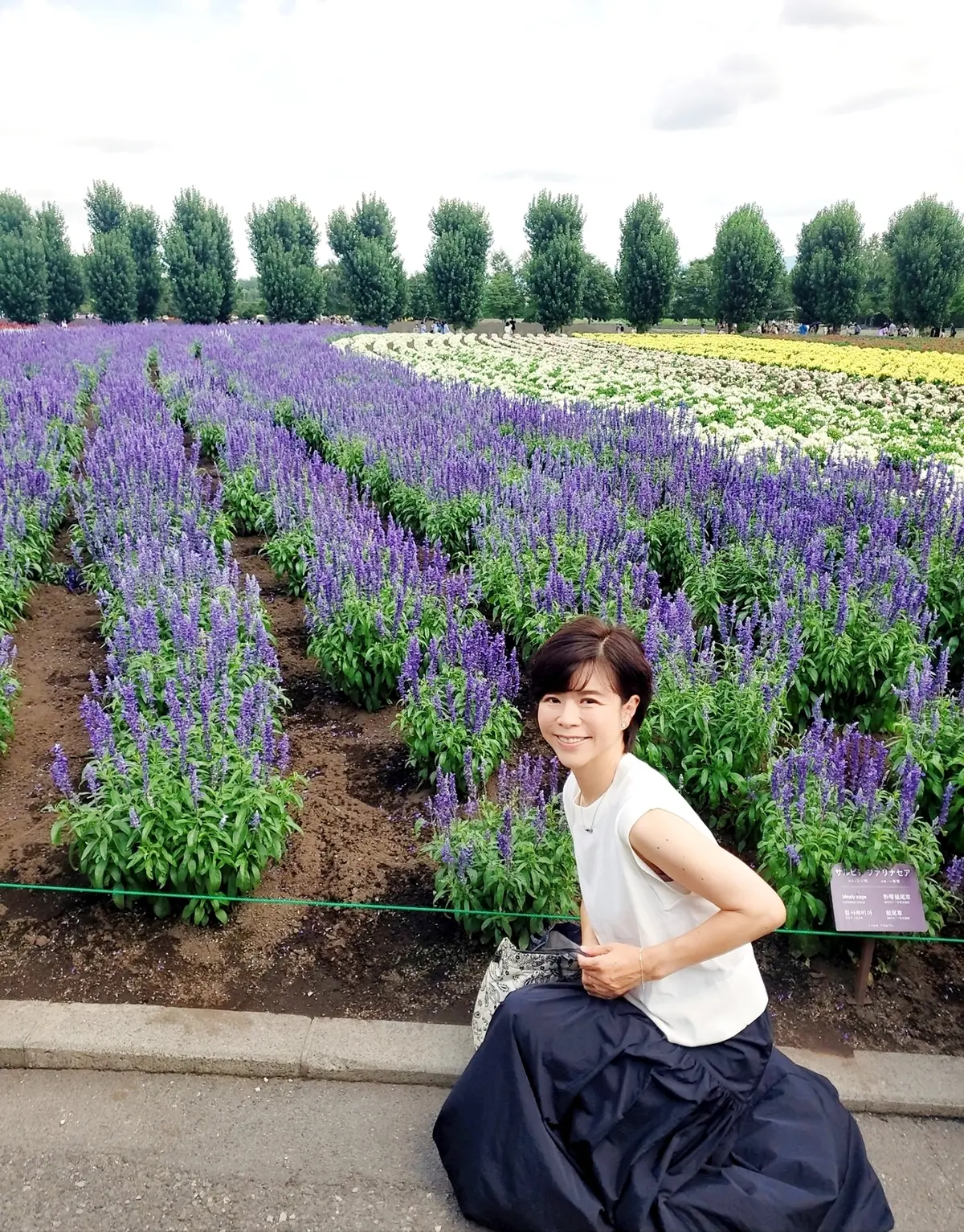 景色を遮らないように遠慮気味に(^-^;