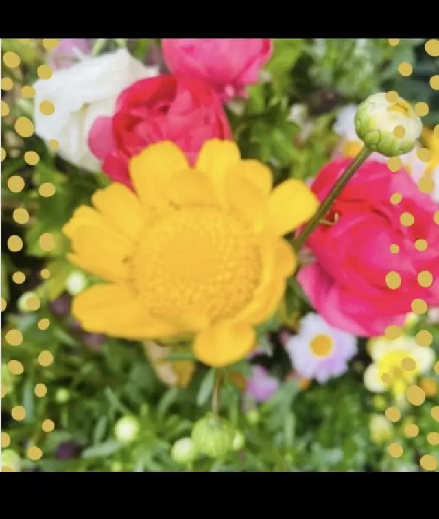 マダムのプチハッピー、しあわせホルモンのの画像_2