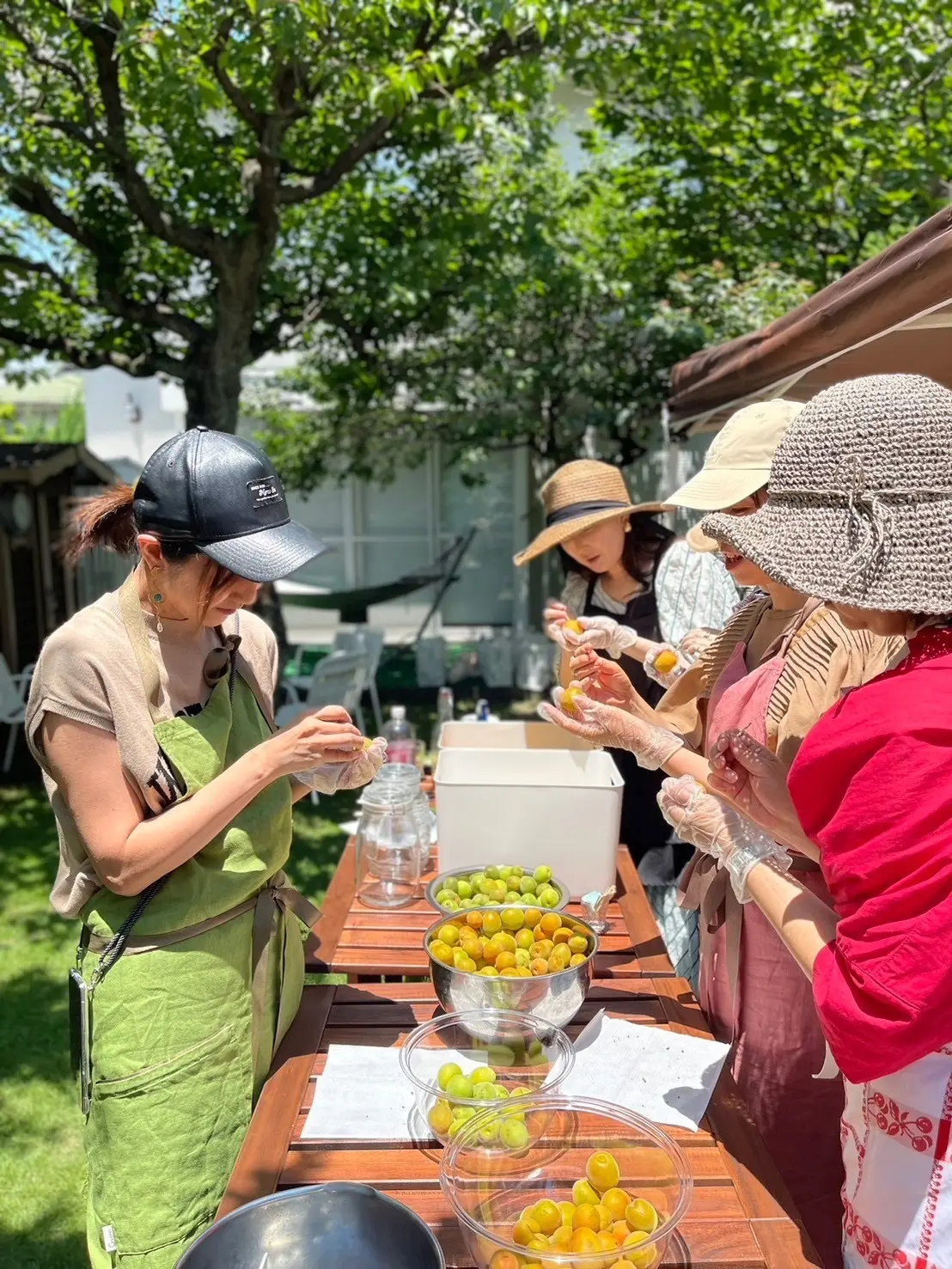 唯一無二♡素敵なガーデンで梅＆杏仕事のレの画像_3